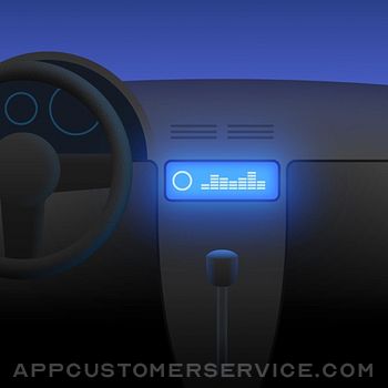 Advanced car audio setting Customer Service