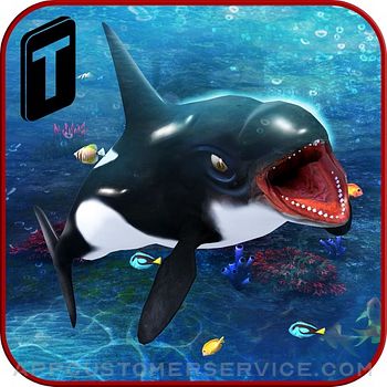 Killer Whale Beach Attack 3D Customer Service
