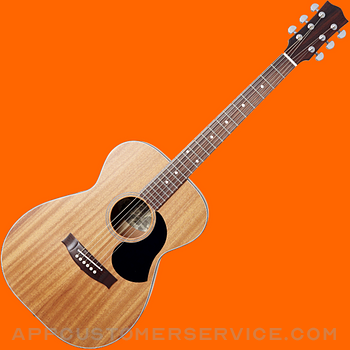 Guitar Tuner Simple Customer Service