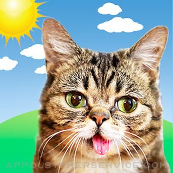 Download Lil BUB Cat Weather Report App