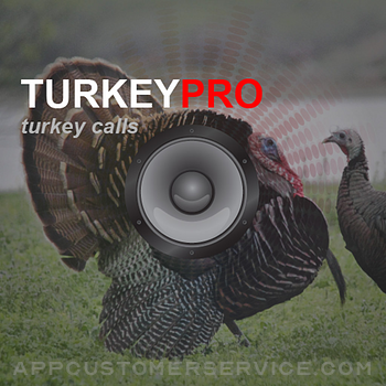 Download Turkey Calls - Turkey Sounds - Turkey Caller App App