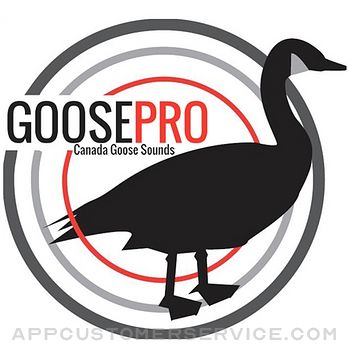 Download Goose Hunting Calls-Goose Sounds-Goose Call App App