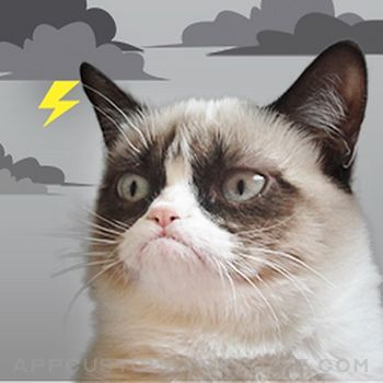 Download Grumpy Cat's Funny Weather App