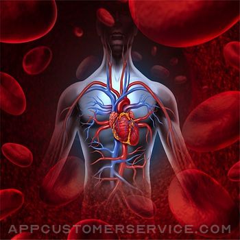 Anatomy : Circulatory System Customer Service