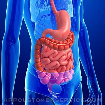 Download Anatomy : Digestive System App