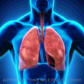 Anatomy : Respiratory System Customer Service