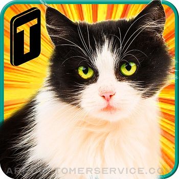 Street Cat Sim 2016 Customer Service