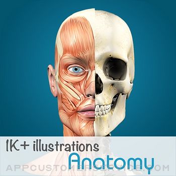 Anatomy - 1K+ Illustrations Customer Service