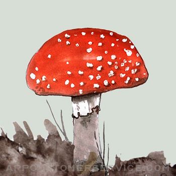 Mushrooms & other Fungi UK Customer Service