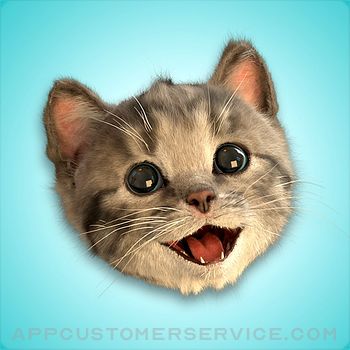 Little Kitten Stickers Customer Service