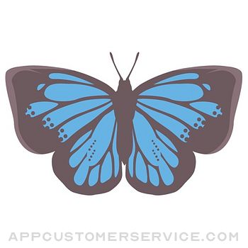 Pop and chic butterfly sticker Customer Service