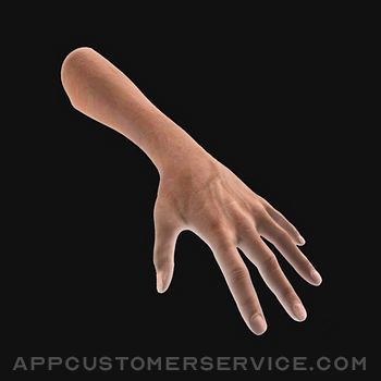 Hand Draw 3D Pose Tool Customer Service