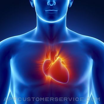 Learn Heart Anatomy Customer Service
