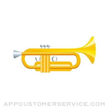 Sticker musical instrument Customer Service