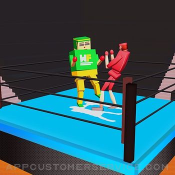 Drunken Wrestlers 3D Fighting Customer Service