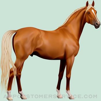 Horse Breeds Quizzes Customer Service