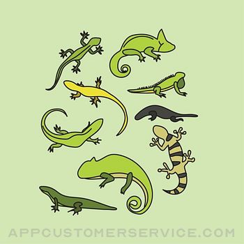 Animals : Reptiles Quiz Customer Service