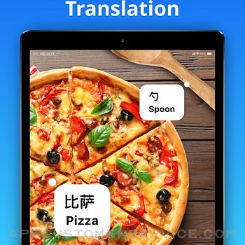 Translate Now - Translator ipad image 2