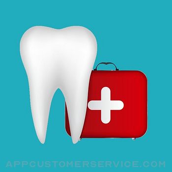 Dental Medical Terms Quiz Customer Service