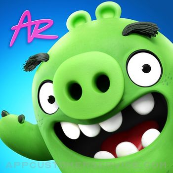 Angry Birds AR: Isle of Pigs Customer Service