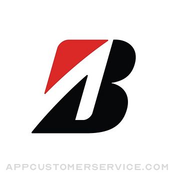 Bridgestone Revendas Customer Service