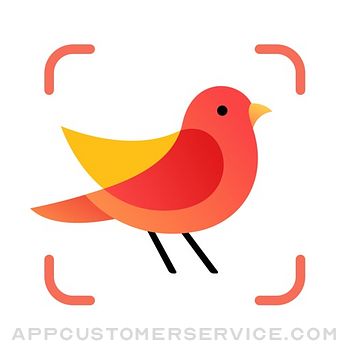 Picture Bird: Birds Identifier Customer Service