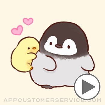 Soft and cute chick(animation) Customer Service
