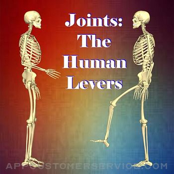 Joints: The Human Levers Customer Service