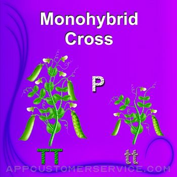 Monohybrid Cross Customer Service