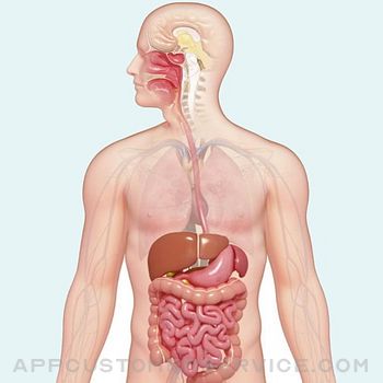 Download Learn Digestive System App