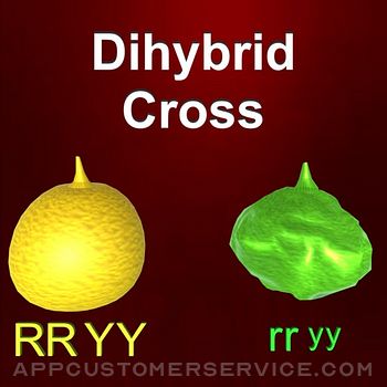Dihybrid cross Customer Service