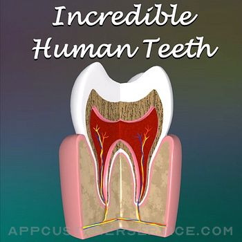 Incredible Human Teeth Customer Service