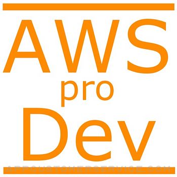 AWS Certified Developer A. PRO Customer Service
