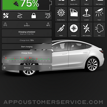 Watch app for Tesla ipad image 1