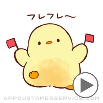 Soft and cute chick2 animation Customer Service
