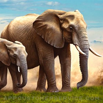 Download Wild Animal Elephant Simulator App