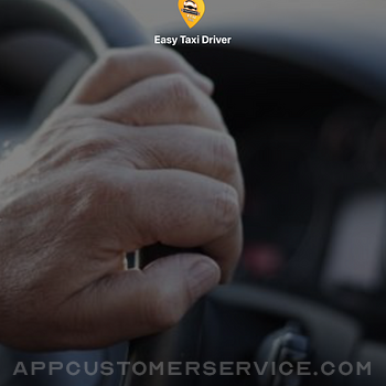 Easy Taxi Driver ipad image 1