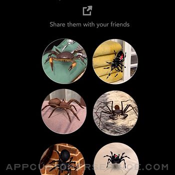 AR Spiders & Co: Scare friends ipad image 3