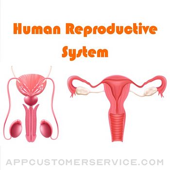 Human Reproductive System Customer Service