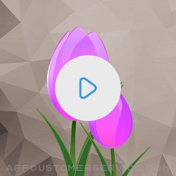 Download Video Color Editor App