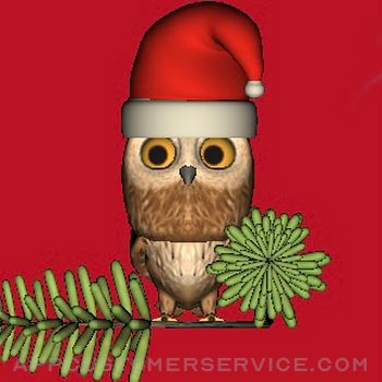 Rocky Owl's Christmas Story Customer Service