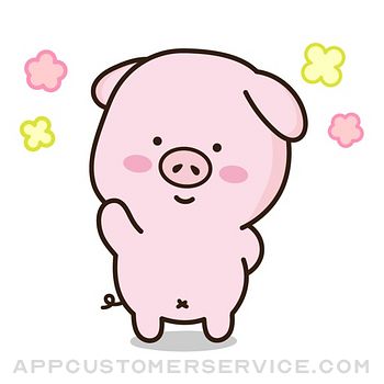 Cutie Lovely PinkPig Customer Service