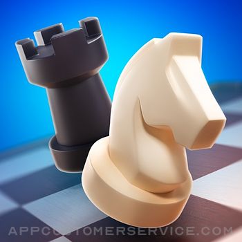 Chess Clash: Online & Offline Customer Service