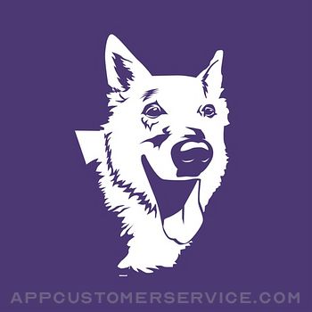 PetCation Pet Services Customer Service
