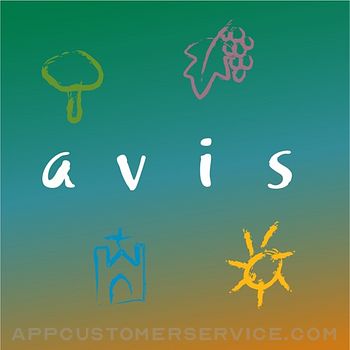 Your Travel Avis Customer Service