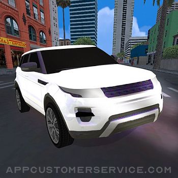 Real Drive 3D Parking Games Customer Service