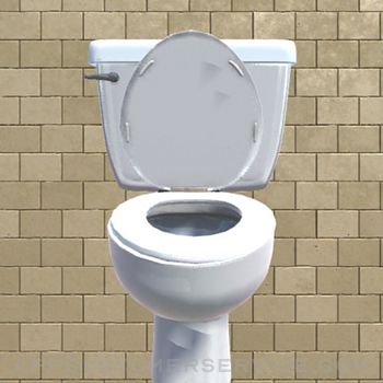 Worry Toilet Customer Service