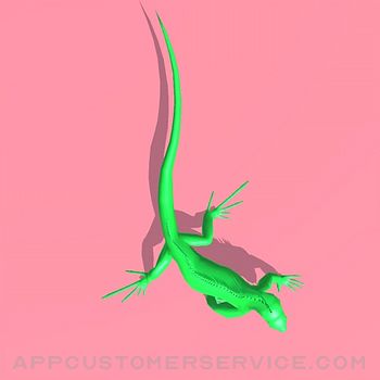 Lizard.io Customer Service