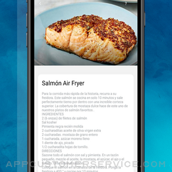 Recipes Air Fryer iphone image 2