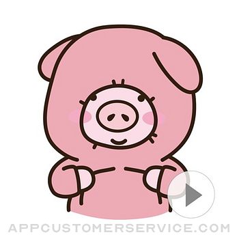 Cutie Lovely PinkPig2 Customer Service